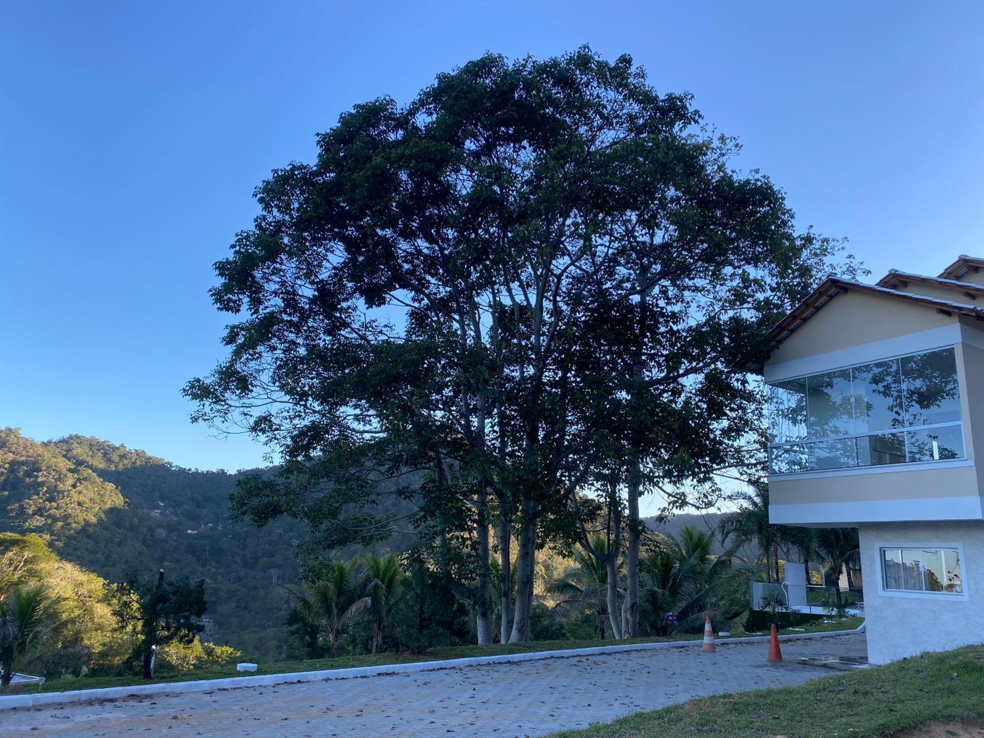 Europark Chalets: Mountain View Retreat For Couples, Families & Groups Domingos Martins
